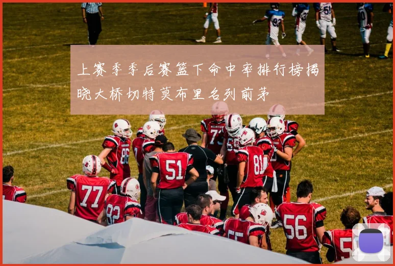 上赛季季后赛篮下命中率排行榜揭晓大桥切特莫布里名列前茅