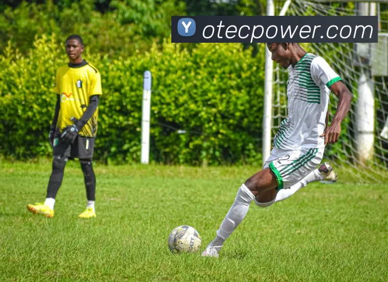 App界面